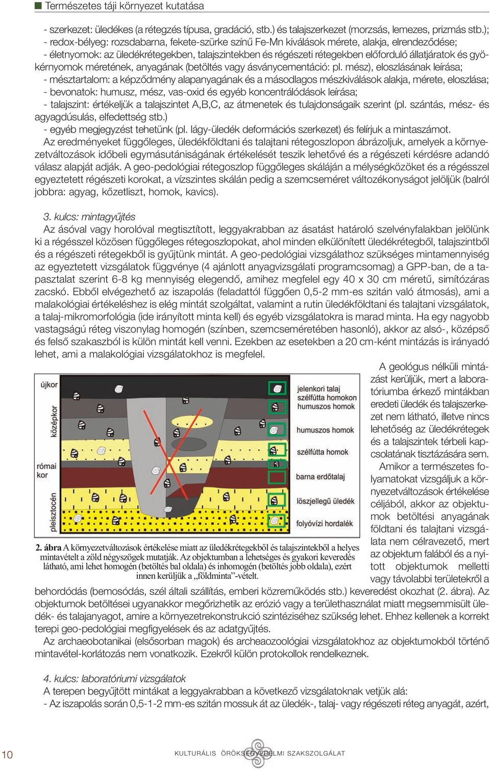 és gyökérnyomok méretének, anyagának (betöltés vagy ásványcementáció: pl.