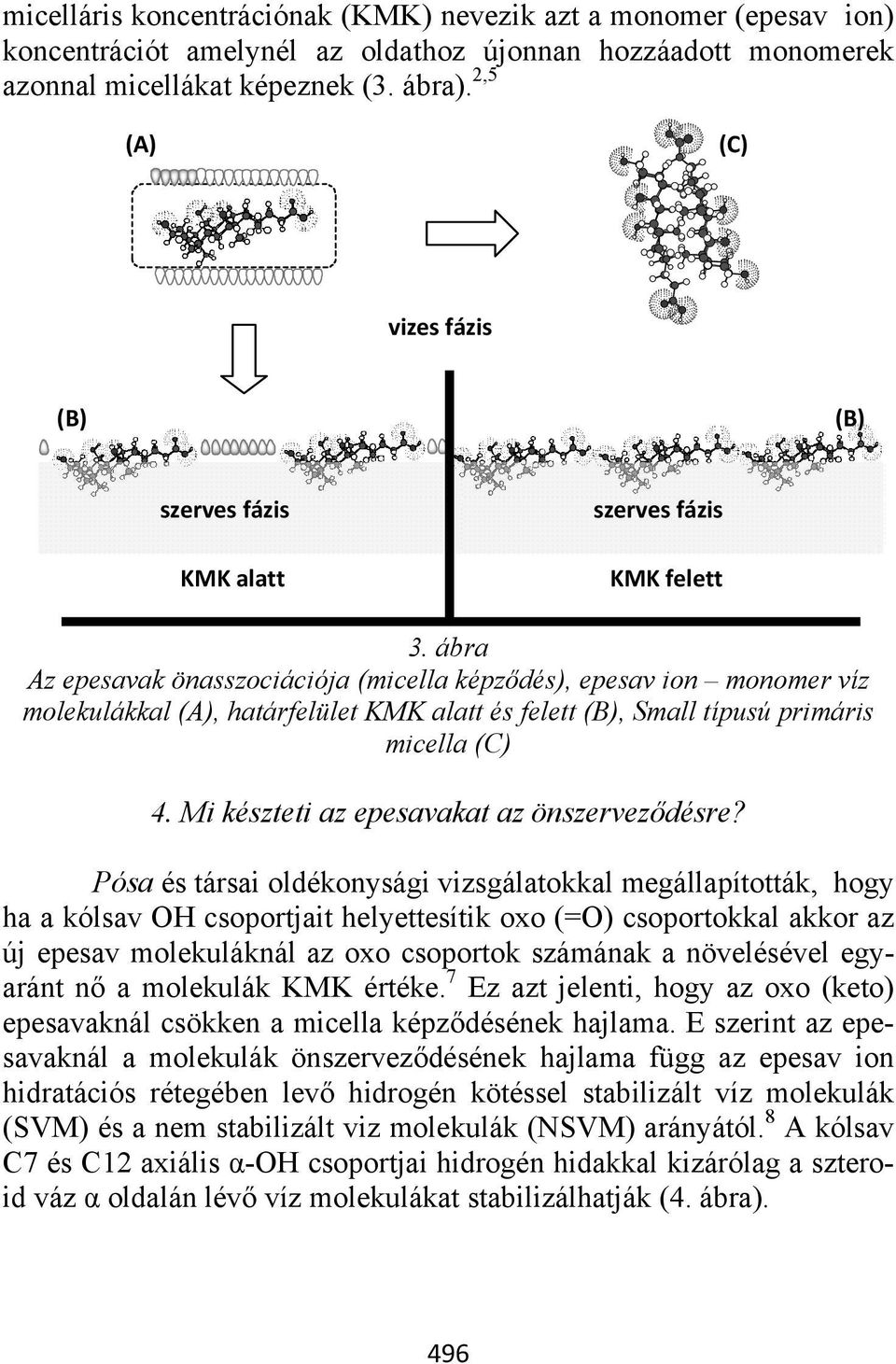 ábra Az epesavak önasszociációja (micella képződés), epesav ion monomer víz molekulákkal (A), határfelület KMK alatt és felett (B), Small típusú primáris micella (C) 4.