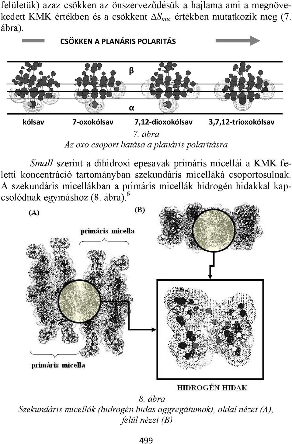 ábra Az oxo csoport hatása a planáris polaritásra Small szerint a dihidroxi epesavak primáris micellái a KMK feletti koncentráció tartományban