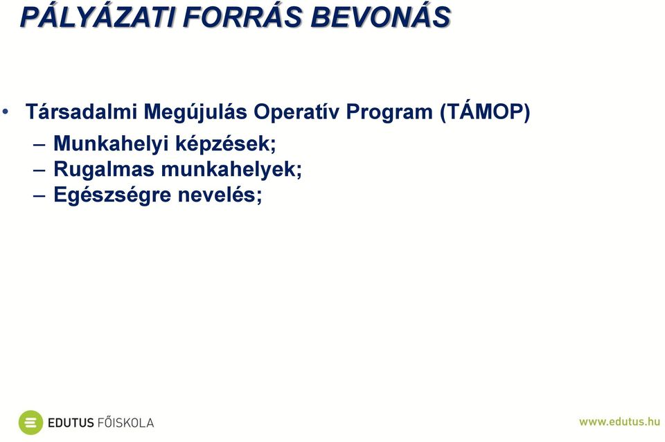 Program (TÁMOP) Munkahelyi