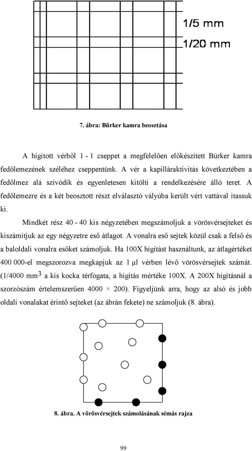A fedılemezre és a két beosztott részt elválasztó vályúba került vért vattával itassuk ki.