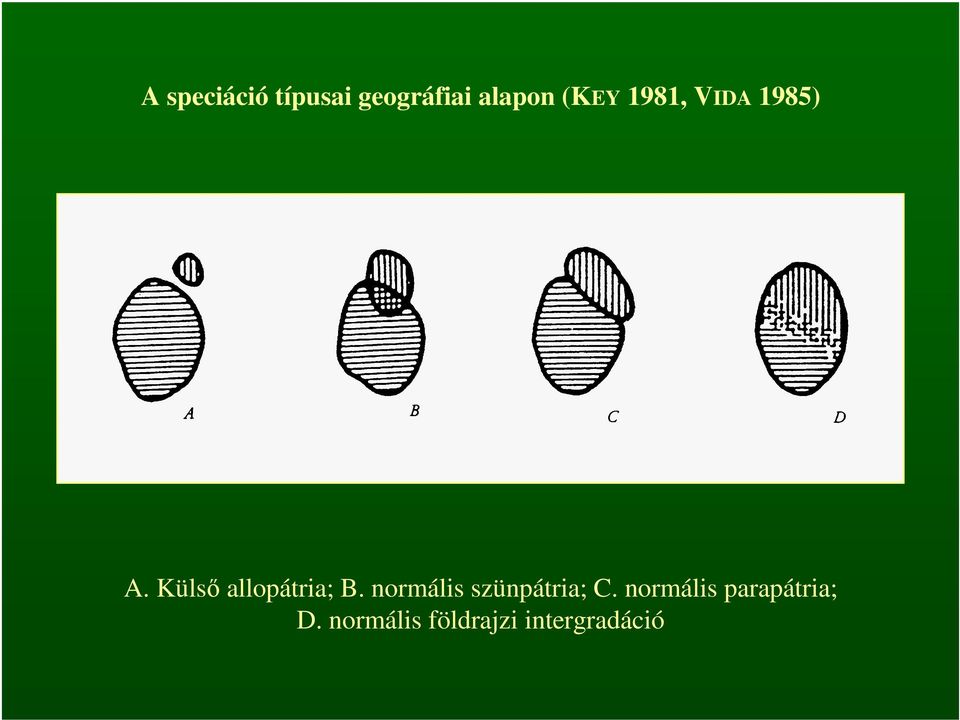 Külső allopátria; B.