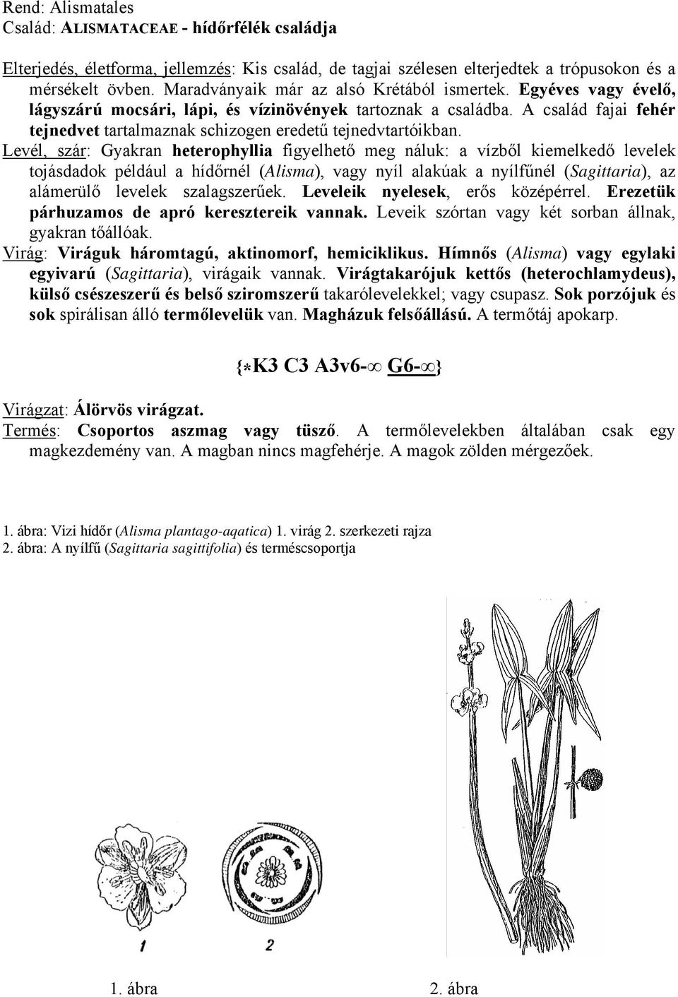 A család fajai fehér tejnedvet tartalmaznak schizogen eredetű tejnedvtartóikban.