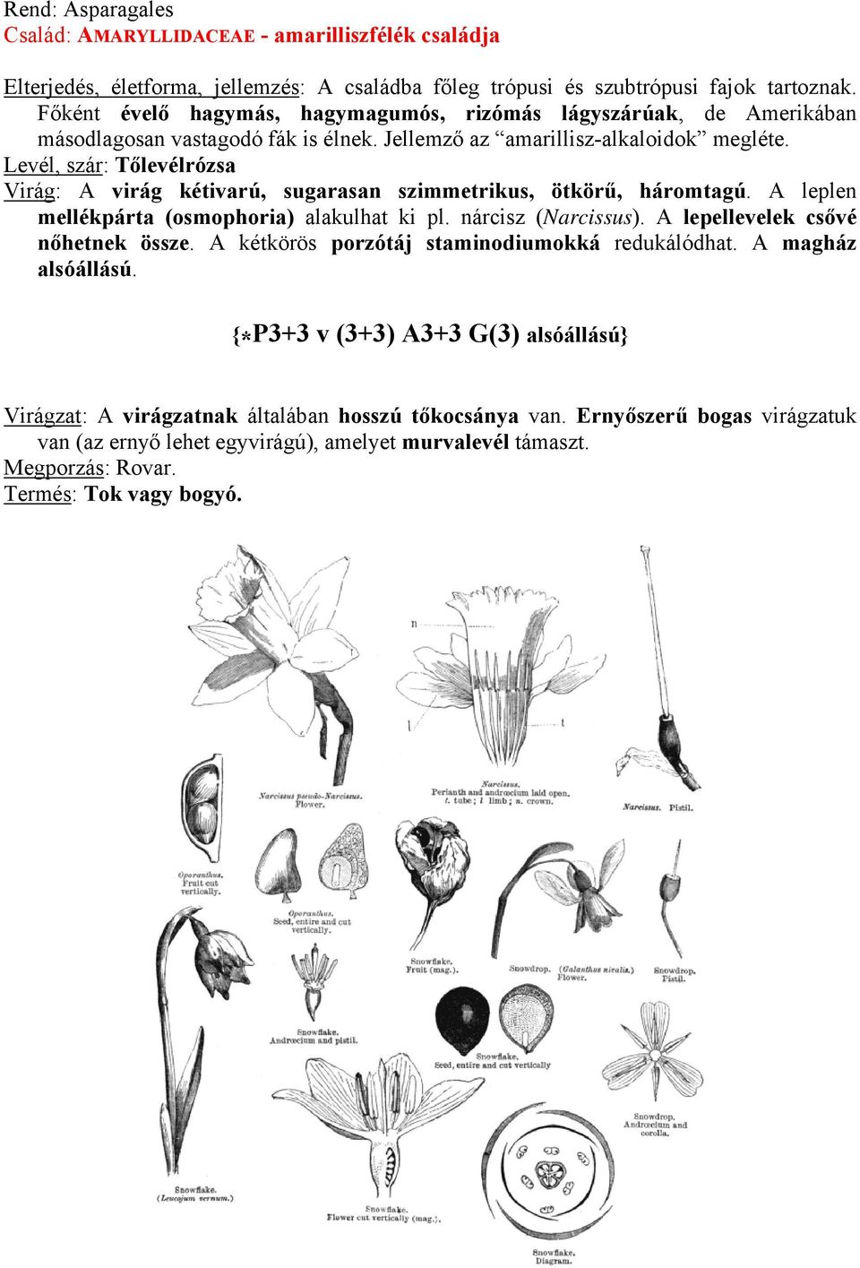 Levél, szár: Tőlevélrózsa Virág: A virág kétivarú, sugarasan szimmetrikus, ötkörű, háromtagú. A leplen mellékpárta (osmophoria) alakulhat ki pl. nárcisz (Narcissus).