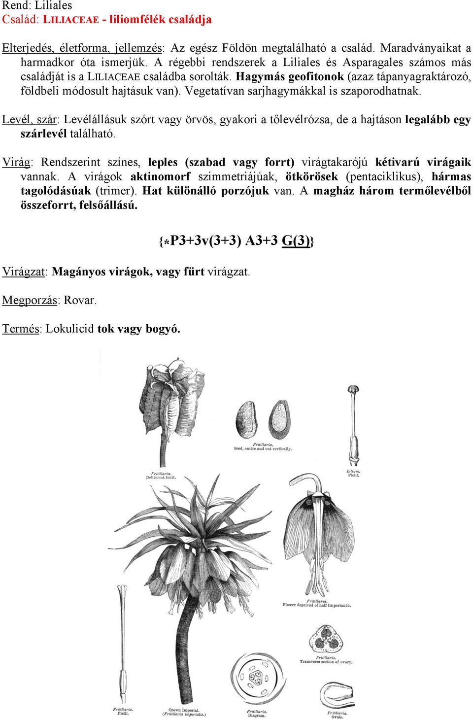 Vegetatívan sarjhagymákkal is szaporodhatnak. Levél, szár: Levélállásuk szórt vagy örvös, gyakori a tőlevélrózsa, de a hajtáson legalább egy szárlevél található.