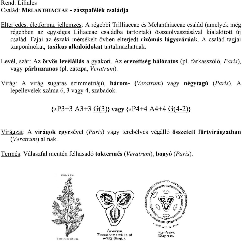 Levél, szár: Az örvös levélállás a gyakori. Az erezettség hálózatos (pl. farkasszőlő, Paris), vagy párhuzamos (pl. zászpa, Veratrum).