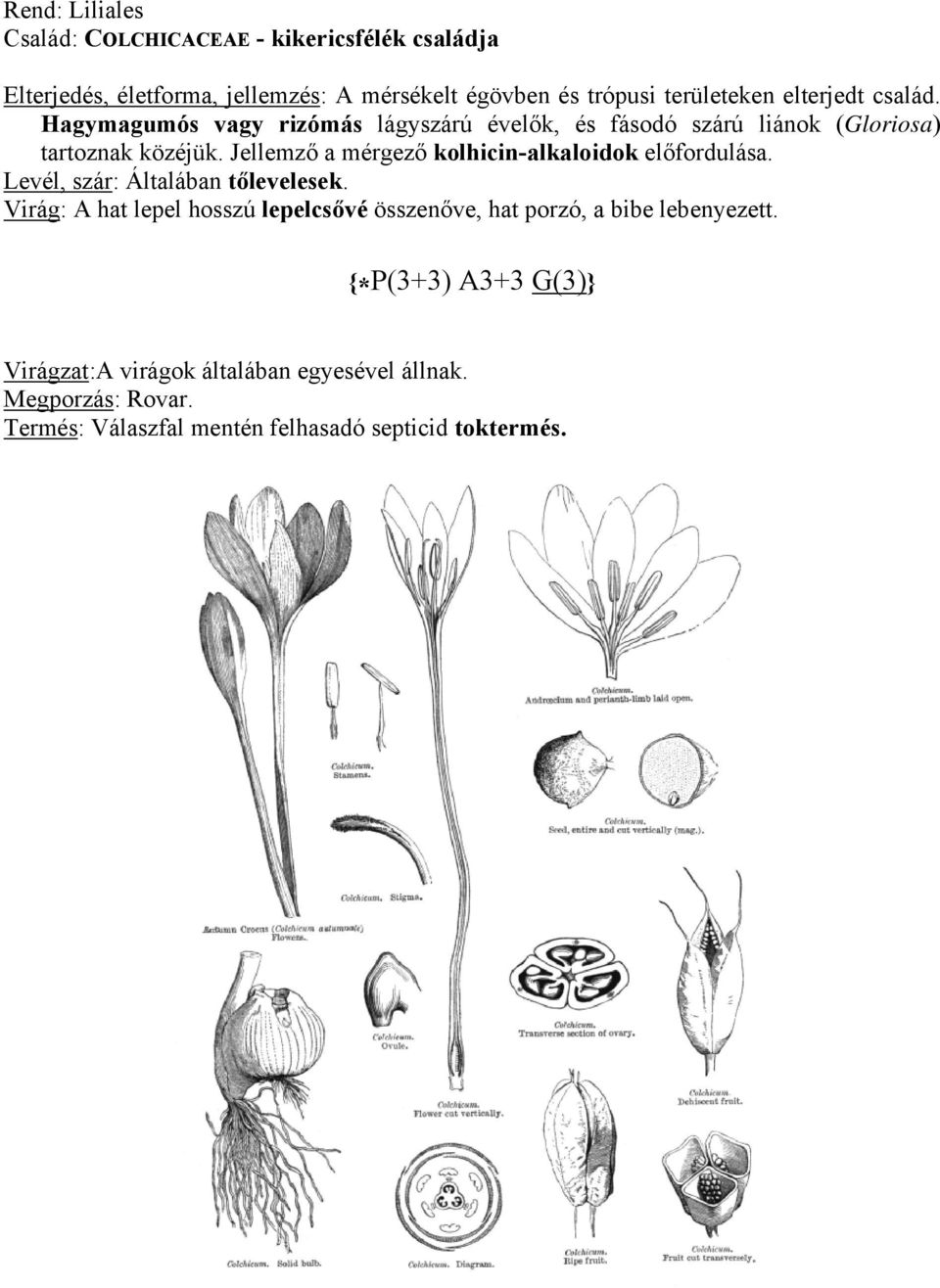 Jellemző a mérgező kolhicin-alkaloidok előfordulása. Levél, szár: Általában tőlevelesek.