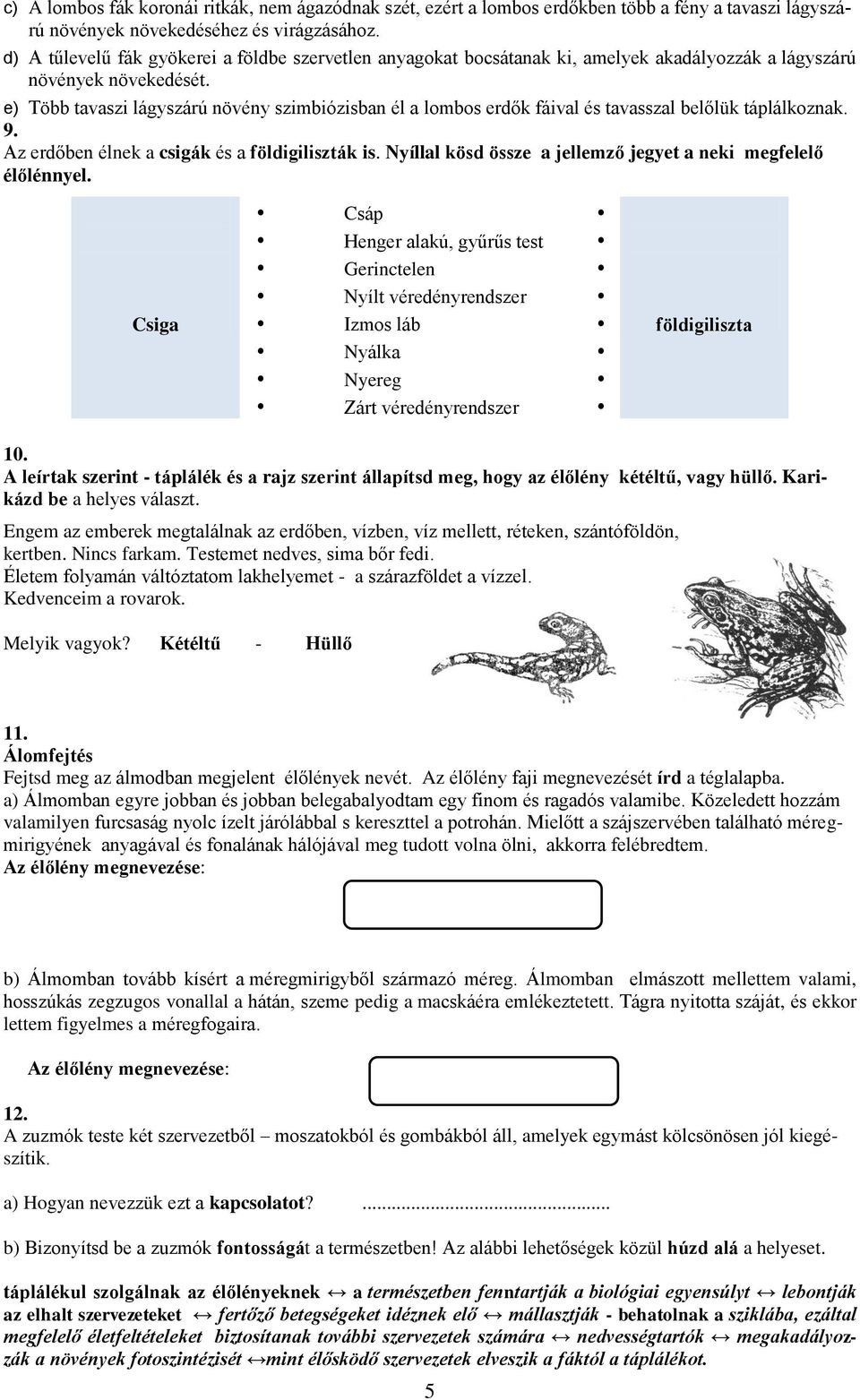 e) Több tavaszi lágyszárú növény szimbiózisban él a lombos erdők fáival és tavasszal belőlük táplálkoznak. 9. Az erdőben élnek a csigák és a földigiliszták is.