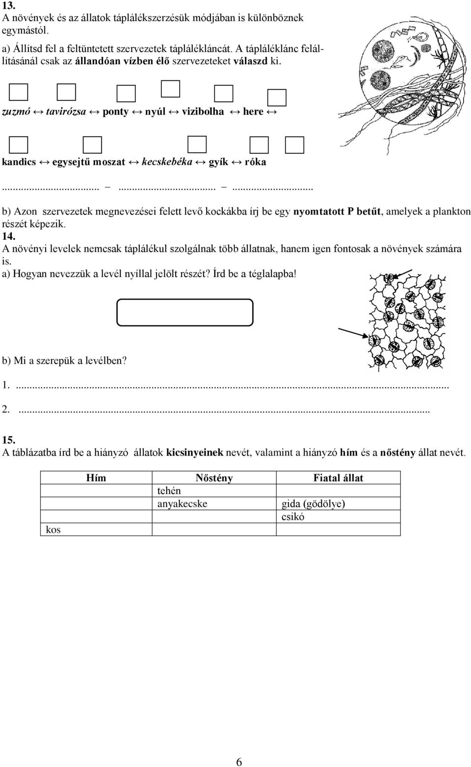 ........ b) Azon szervezetek megnevezései felett levő kockákba írj be egy nyomtatott P betűt, amelyek a plankton részét képezik. 14.