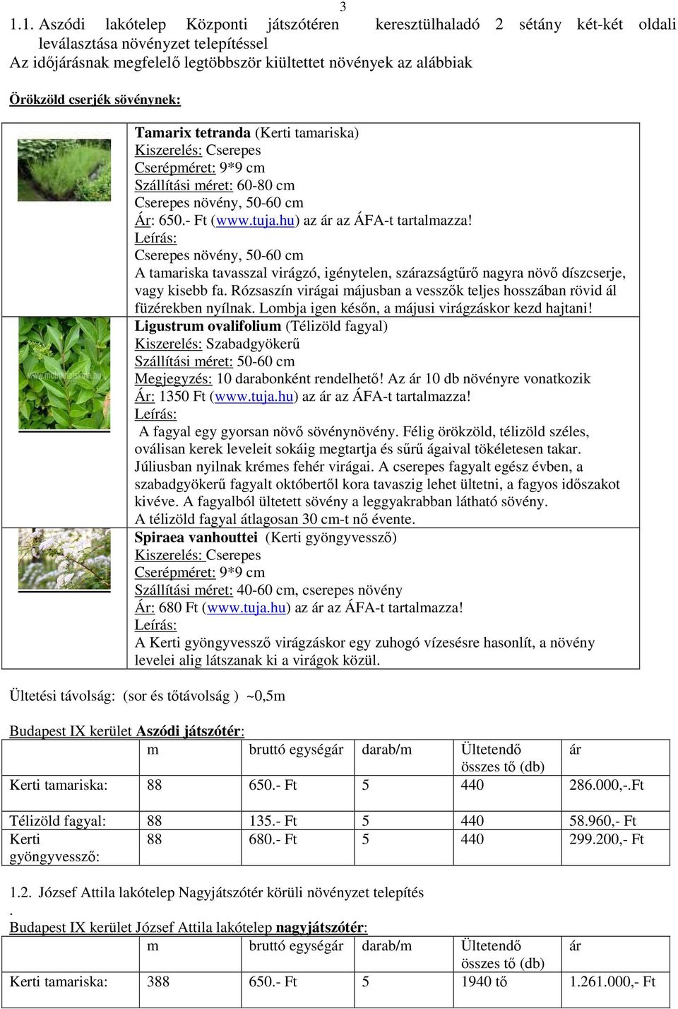 hu) az ár az ÁFA-t tartalmazza! Leírás: Cserepes növény, 50-60 cm A tamariska tavasszal virágzó, igénytelen, szárazságtűrő nagyra növő díszcserje, vagy kisebb fa.