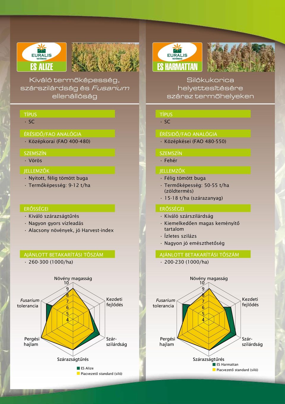 (1000/ha) Típus SC Érésidô/FAO analógia Középkései (FAO 480-550) Szemszín Fehér JELLEMZÔK Félig tömött buga Termôképesség: 50-55 t/ha (zöldtermés) 15-18 t/ha (szárazanyag) ERÔSSÉGEI Kiváló