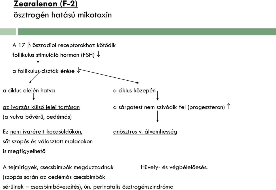 választott malacokon is megfigyelhető a ciklus közepén a sárgatest nem szívódik fel (progeszteron) anösztrus v.