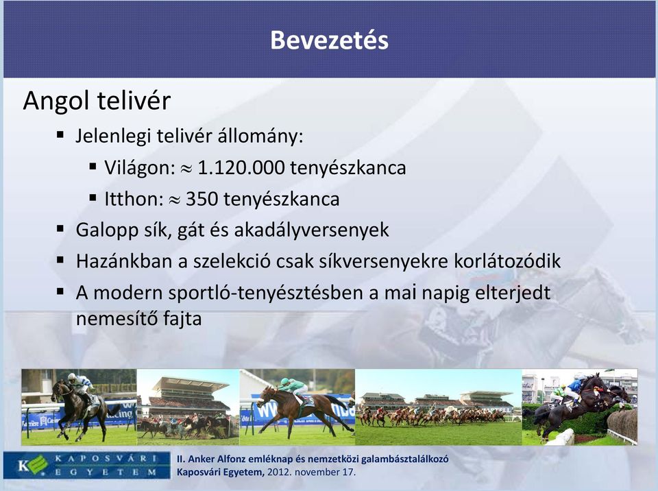 akadályversenyek Hazánkban a szelekció csak síkversenyekre