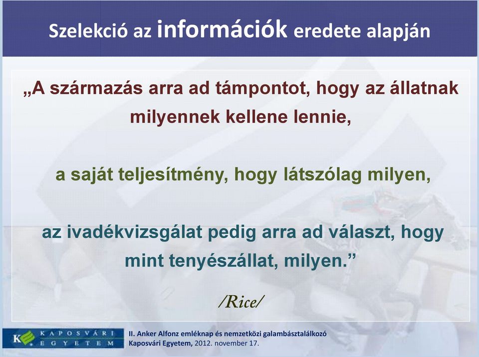 saját teljesítmény, hogy látszólag milyen, az
