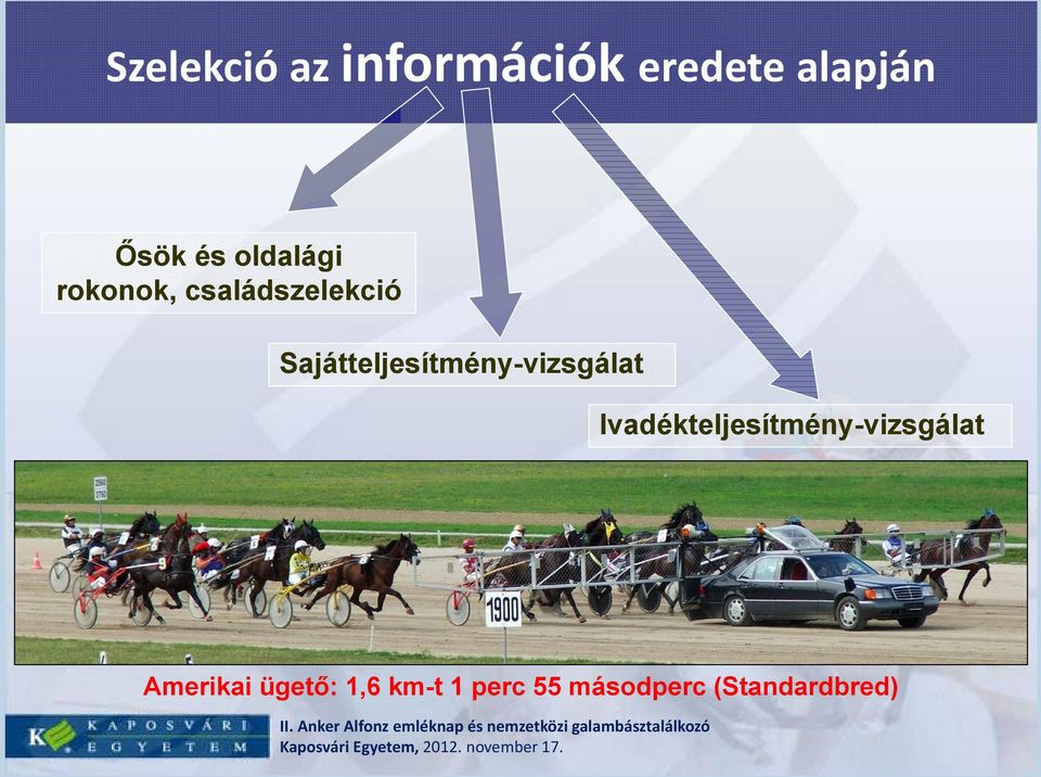 Sajátteljesítmény-vizsgálat