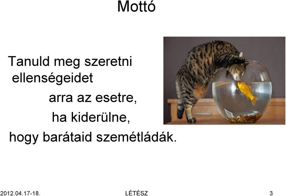 ha kiderülne, hogy barátaid