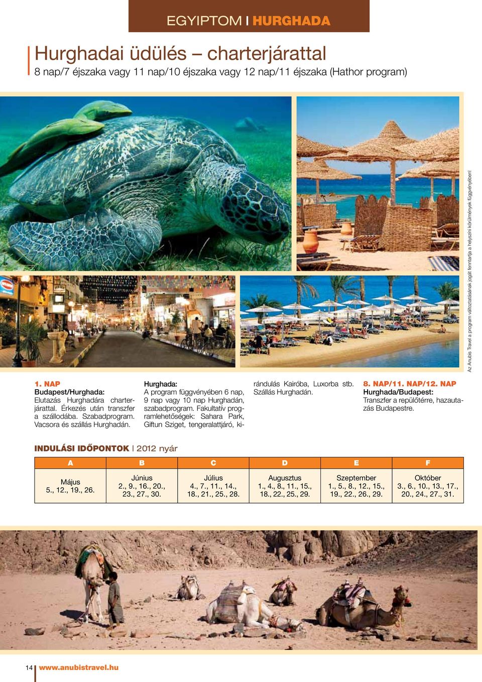 Hurghada: A program függvényében 6 nap, 9 nap vagy 10 nap Hurghadán, szabadprogram. Fakultatív programlehetőségek: Sahara Park, Giftun Sziget, tengeralattjáró, kirándulás Kairóba, Luxorba stb.