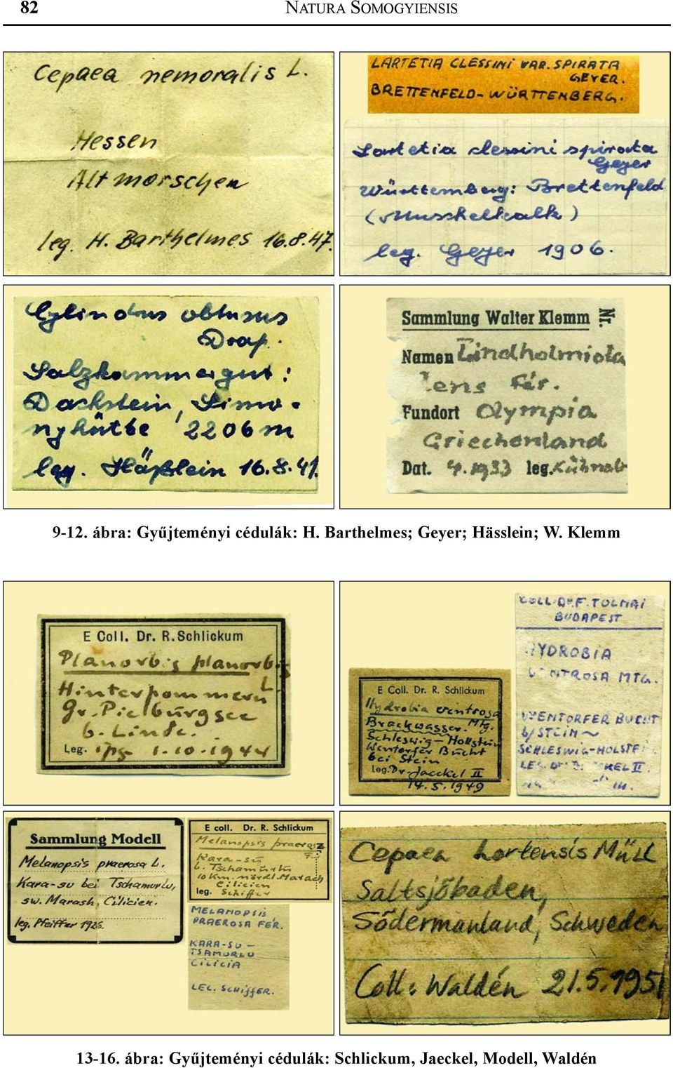 Barthelmes; Geyer; Hässlein; W.