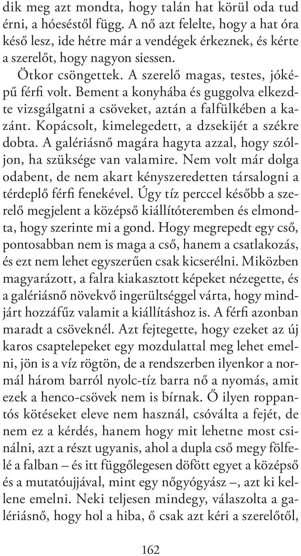 Kopácsolt, kimelegedett, a dzsekijét a székre dobta. A galériásnő magára hagyta azzal, hogy szóljon, ha szüksége van valamire.