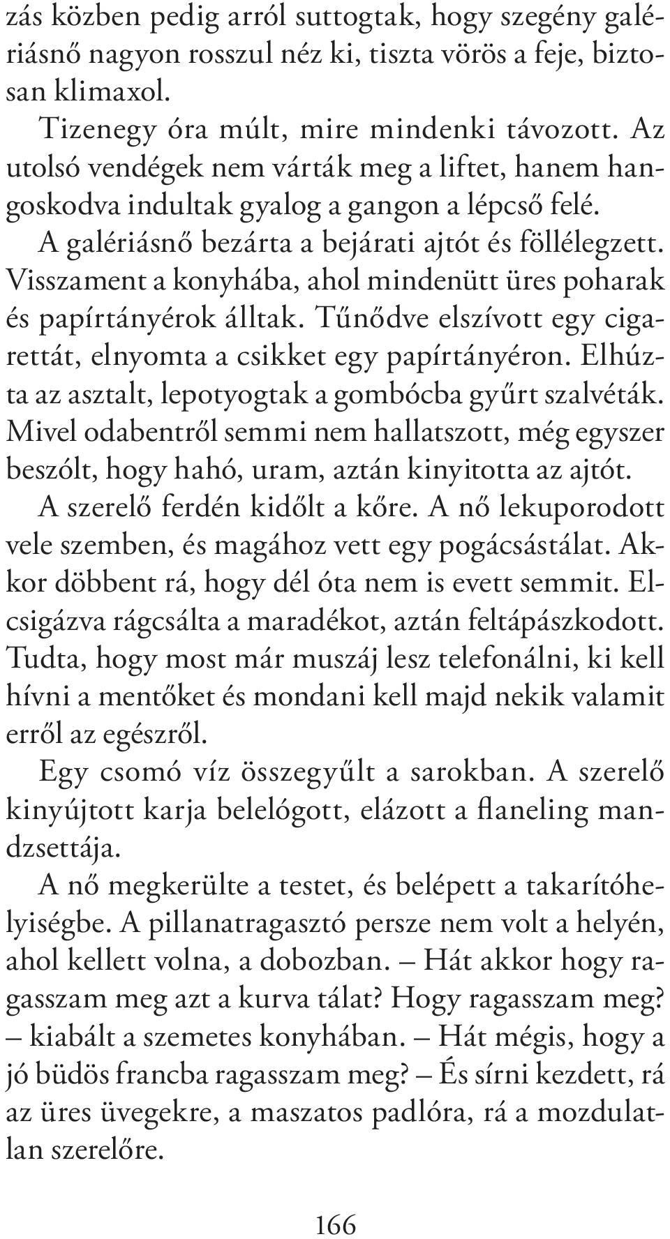 Visszament a konyhába, ahol mindenütt üres poharak és papírtányérok álltak. Tűnődve elszívott egy cigarettát, elnyomta a csikket egy papírtányéron.