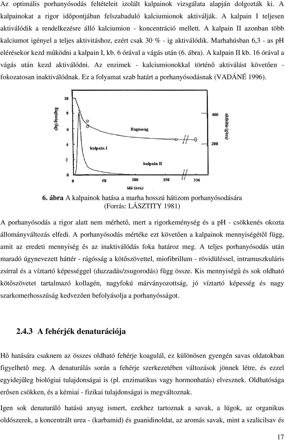 Marhahúsban 6,3 - as ph elérésekor kezd mködni a kalpain I, kb. 6 órával a vágás után (6. ábra). A kalpain II kb. 16 órával a vágás után kezd aktiválódni.