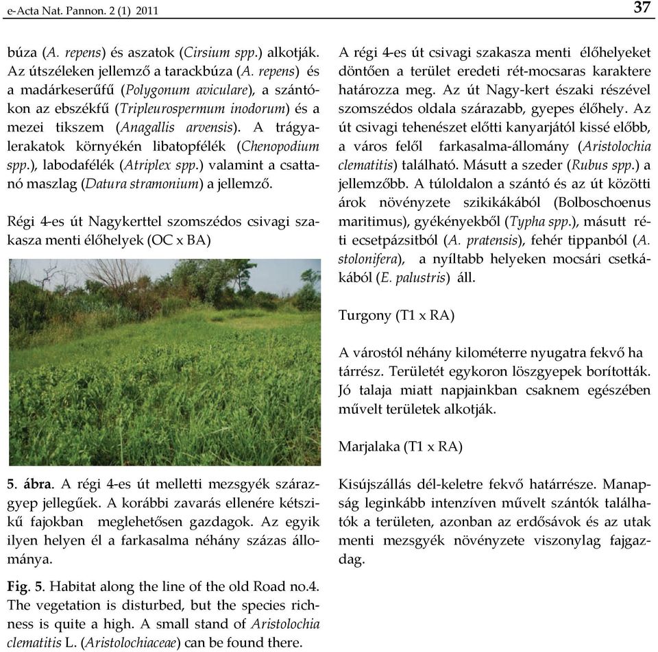 A trágyalerakatok környékén libatopfélék (Chenopodium spp.), labodafélék (Atriplex spp.) valamint a csattanó maszlag (Datura stramonium) a jellemző.