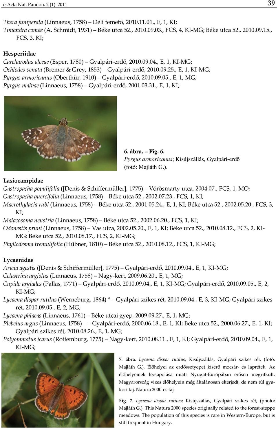 , E, 1, KI MG; Pyrgus armoricanus (Oberthür, 1910) Gyalpári erdő, 2010.09.05., E, 1, MG; Pyrgus malvae (Linnaeus, 1758) Gyalpári erdő, 2001.03.31., E, 1, KI; 6.