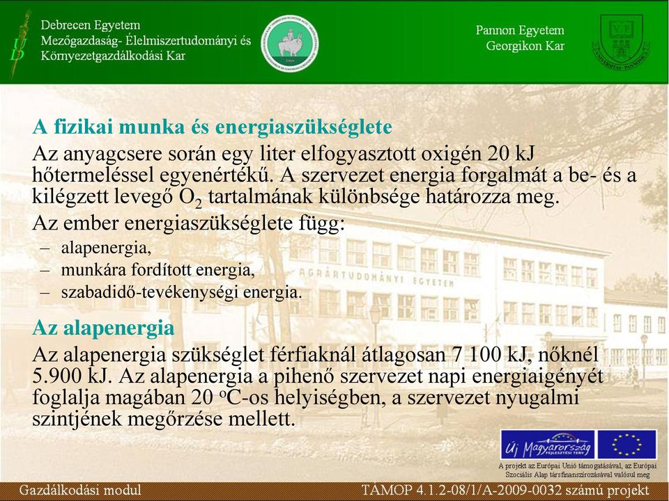 Az ember energiaszükséglete függ: alapenergia, munkára fordított energia, szabadidő-tevékenységi energia.