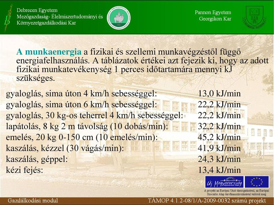 gyaloglás, sima úton 4 km/h sebességgel: gyaloglás, sima úton 6 km/h sebességgel: gyaloglás, 30 kg-os teherrel 4 km/h sebességgel: lapátolás,