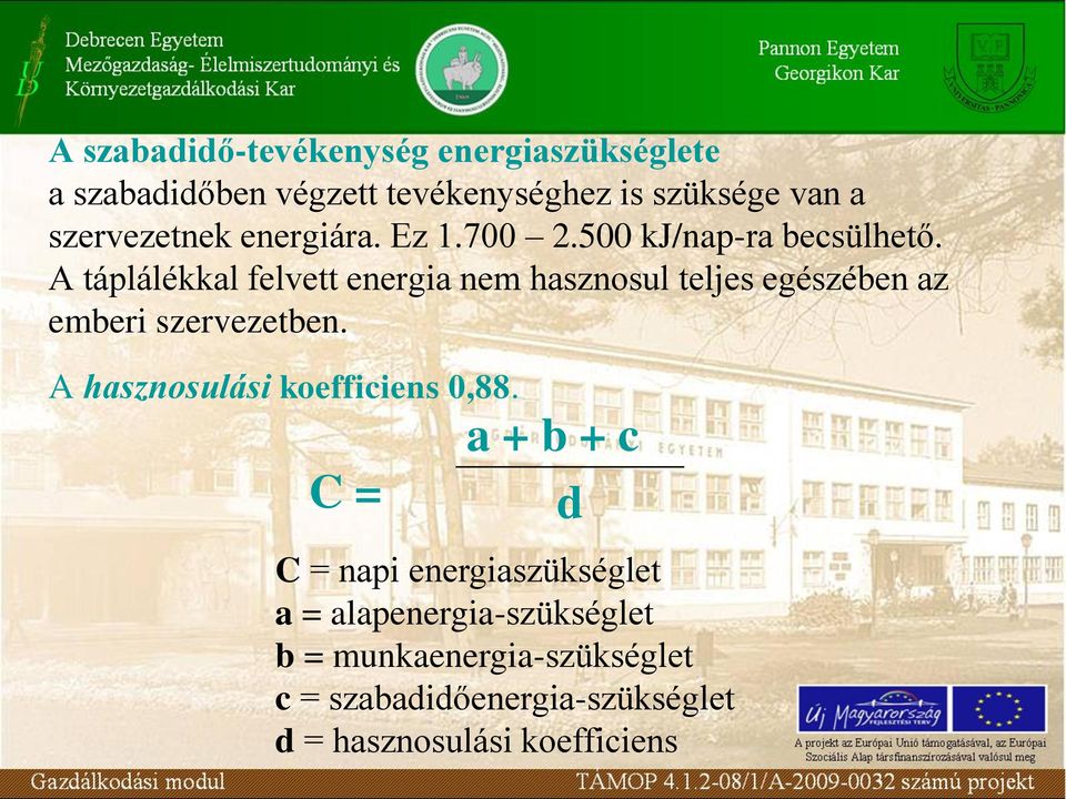 A táplálékkal felvett energia nem hasznosul teljes egészében az emberi szervezetben.