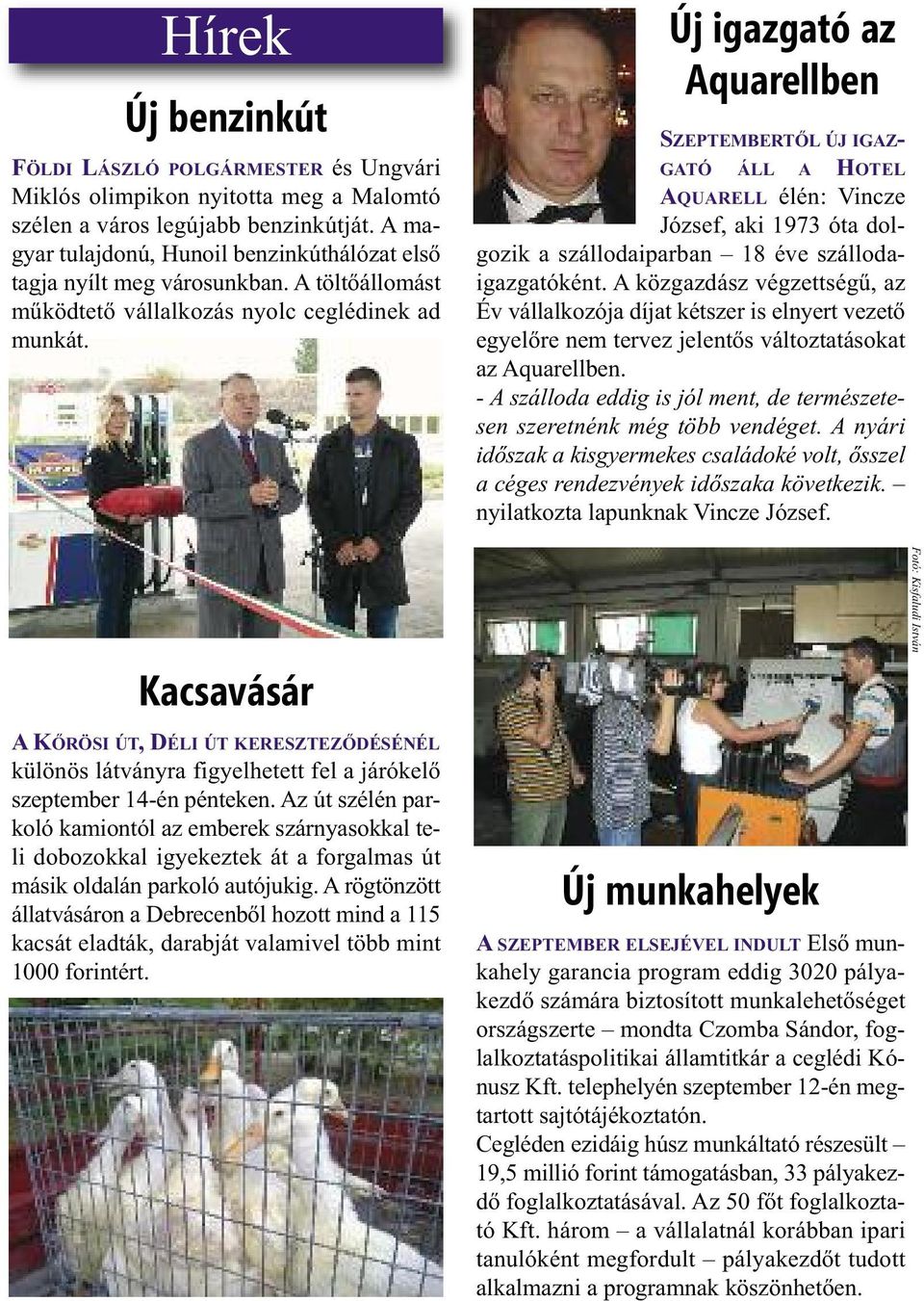Kacsavásár A KŐRÖSI ÚT, DÉLI ÚT KERESZTEZŐDÉSÉNÉL különös látványra figyelhetett fel a járókelő szeptember 14-én pénteken.