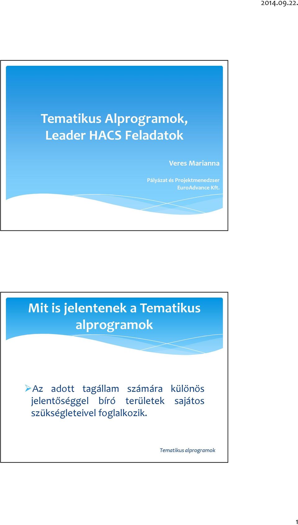 Mit is jelentenek a Tematikus alprogramok Az adott tagállam