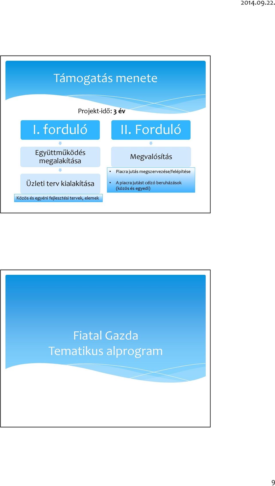 megszervezése/felépítése Üzleti terv kialakítása A piacra jutást célzó