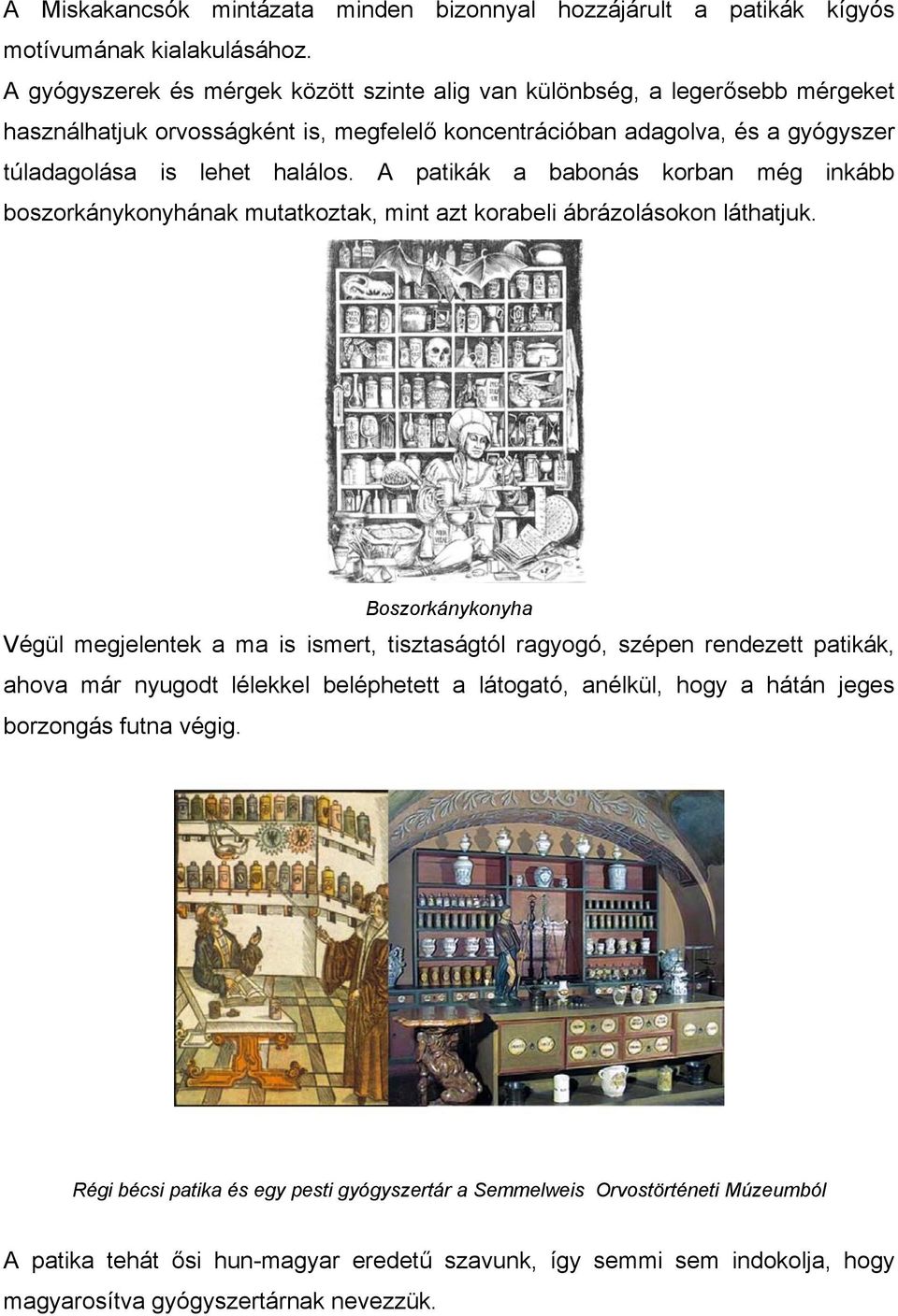 A patikák a babonás korban még inkább boszorkánykonyhának mutatkoztak, mint azt korabeli ábrázolásokon láthatjuk.