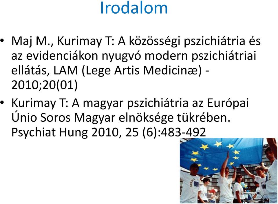 modern pszichiátriai ellátás, LAM (Lege Artis Medicinæ) -