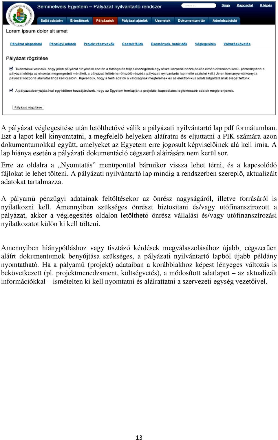 A lap hiánya esetén a pályázati dokumentáció cégszerű aláírására nem kerül sor. Erre az oldalra a Nyomtatás menüponttal bármikor vissza lehet térni, és a kapcsolódó fájlokat le lehet tölteni.