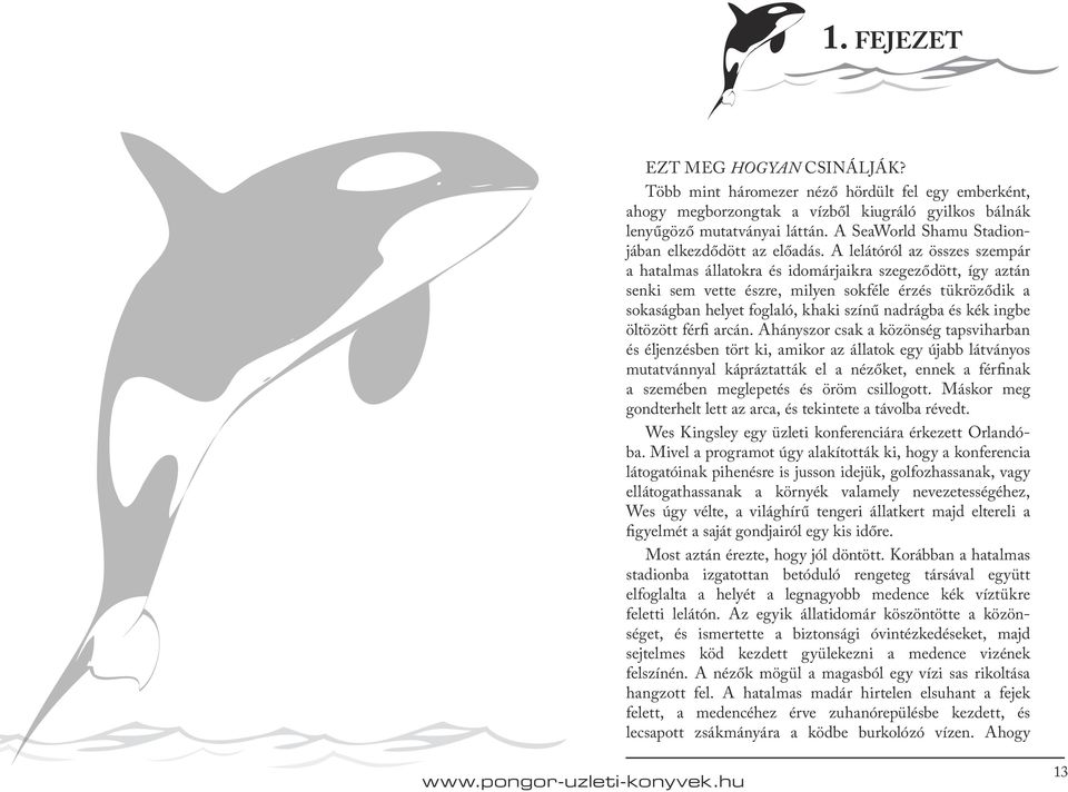 A lelátóról az összes szempár a hatalmas állatokra és idomárjaikra szegeződött, így aztán senki sem vette észre, milyen sokféle érzés tükröződik a sokaságban helyet foglaló, khaki színű nadrágba és