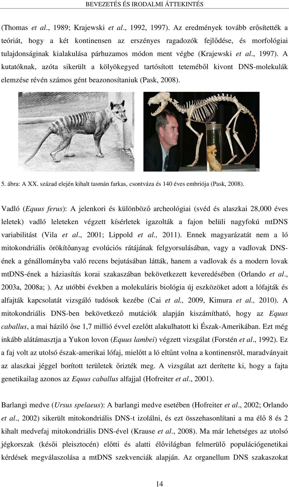 A kutatóknak, azóta sikerült a kölyökegyed tartósított teteméből kivont DNS-molekulák elemzése révén számos gént beazonosítaniuk (Pask, 2008). 5. ábra: A XX.