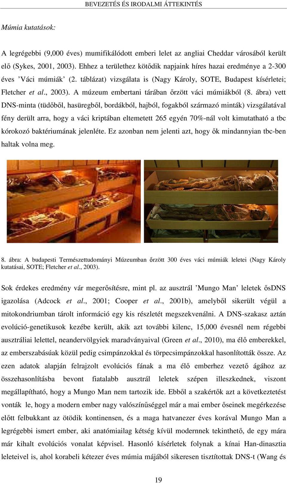 A múzeum embertani tárában őrzött váci múmiákból (8.