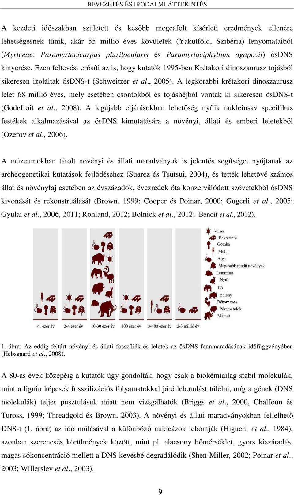 Ezen feltevést erősíti az is, hogy kutatók 1995-ben Krétakori dinoszaurusz tojásból sikeresen izoláltak ősdns-t (Schweitzer et al., 2005).
