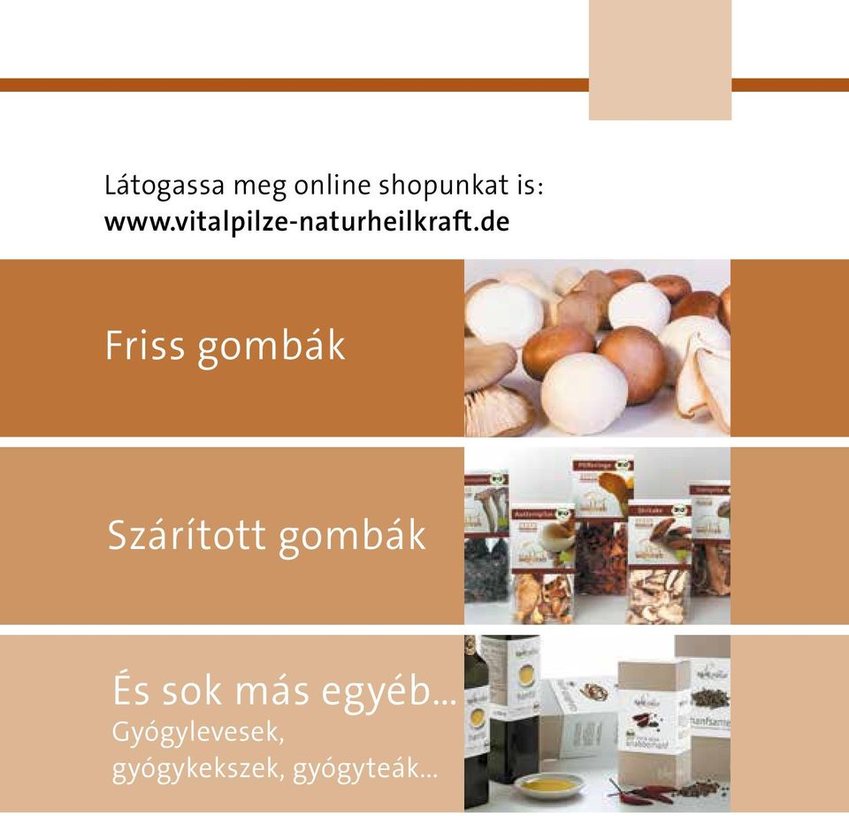 de Friss gombák Szárított gombák És