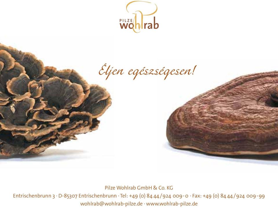 Tel: +49 (0) 84 44/924 009-0 Fax: +49 (0) 84
