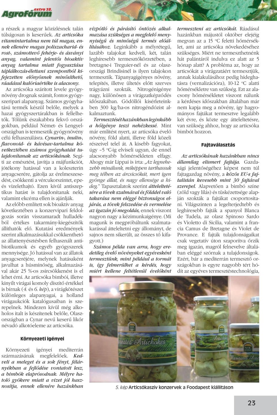 táplálkozás-élettani szempontból kifejezetten előnyösnek minősíthető, ráadásul kalóriaértéke is alacsony. Az articsóka szárított levele gyógynövény drognak számít, fontos gyógyszeripari alapanyag.