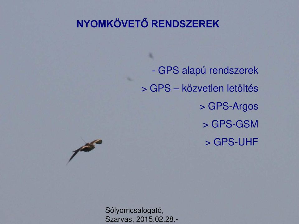 GPS közvetlen letöltés >