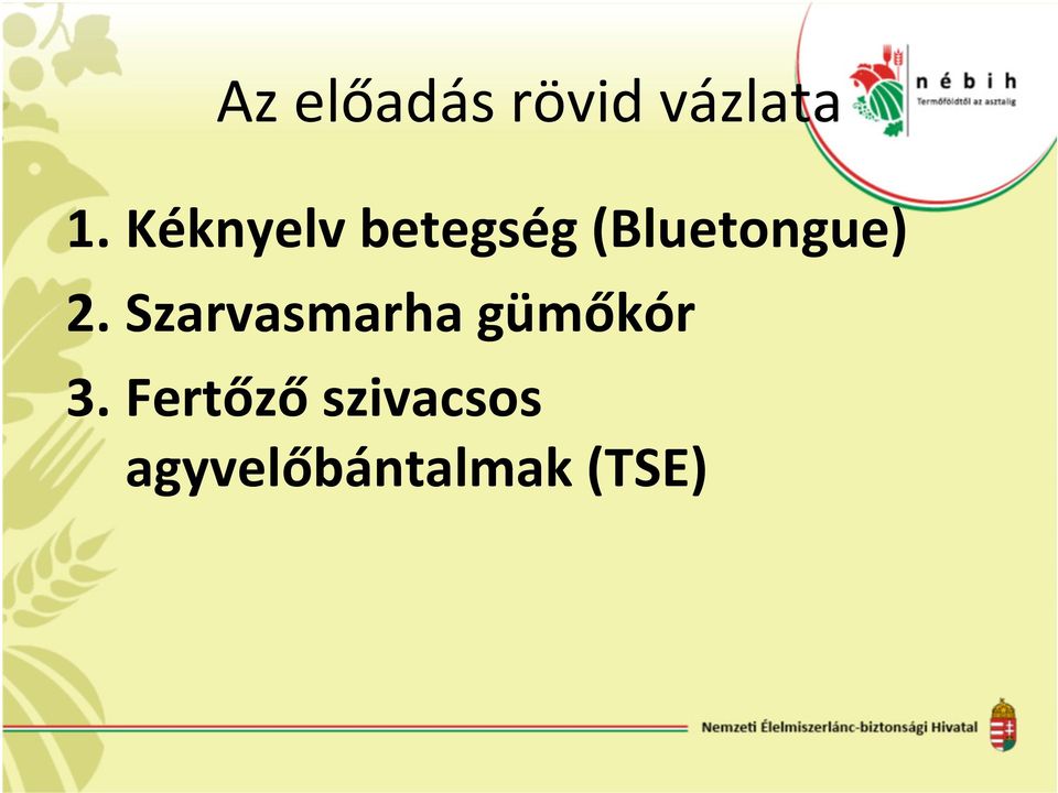 2.Szarvasmarha gümőkór 3.