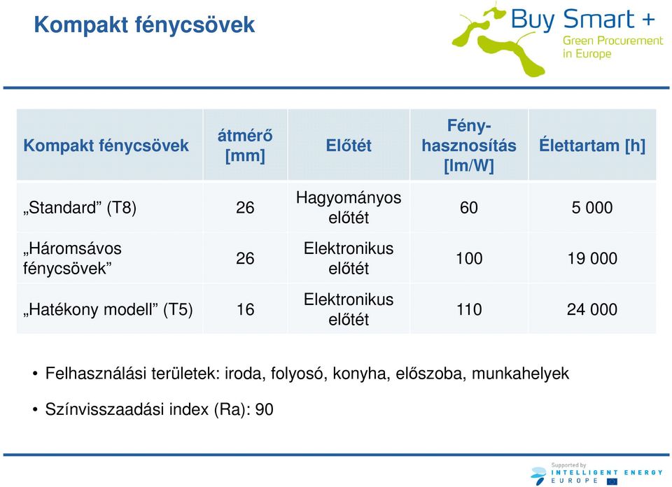 Elektronikus előtét 100 19 000 Hatékony modell (T5) 16 Elektronikus előtét 110 24 000