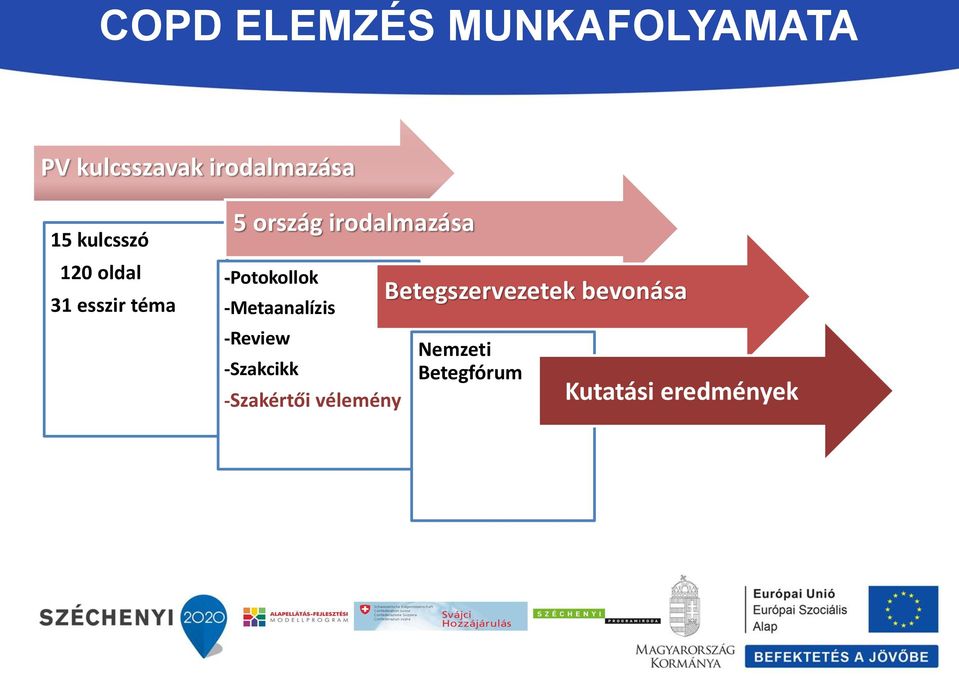 -Potokollok -Metaanalízis -Review -Szakcikk -Szakértői