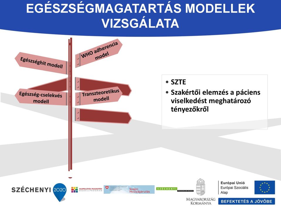 Szakértői elemzés a