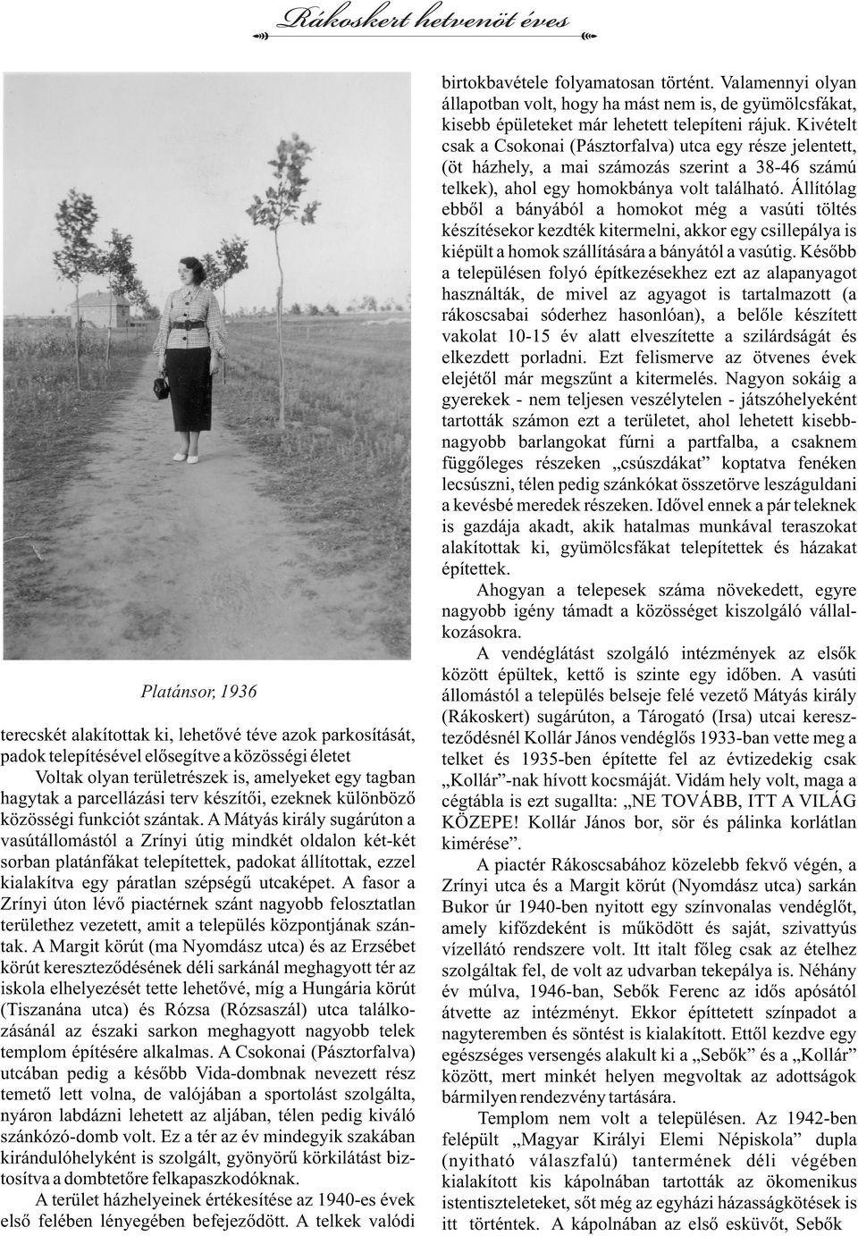 A Mátyás király sugárúton a vasútállomástól a Zrínyi útig mindkét oldalon két-két sorban platánfákat telepítettek, padokat állítottak, ezzel kialakítva egy páratlan szépségű utcaképet.