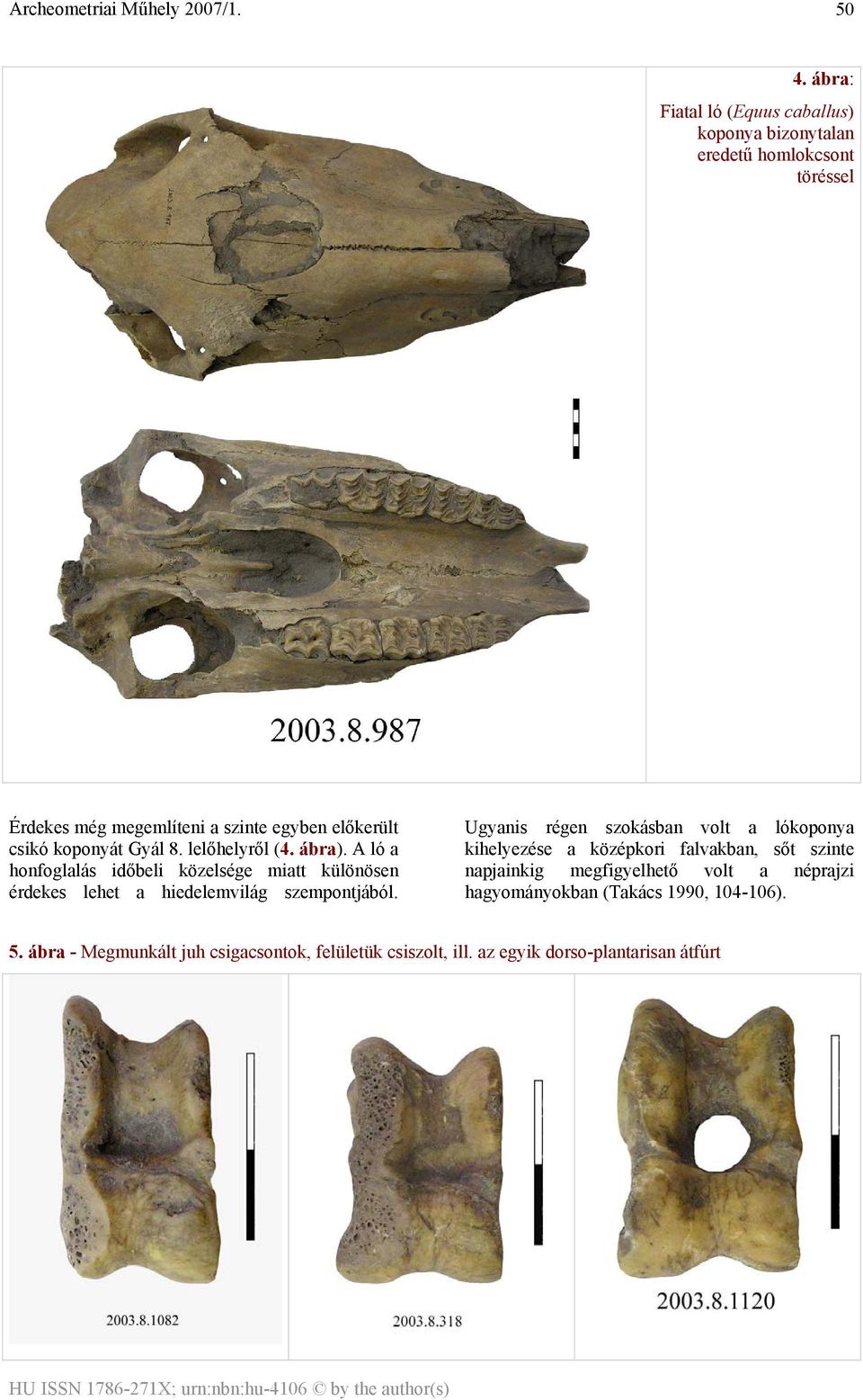 A ló a honfoglalás időbeli közelsége miatt különösen érdekes lehet a hiedelemvilág szempontjából.